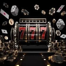 zj777